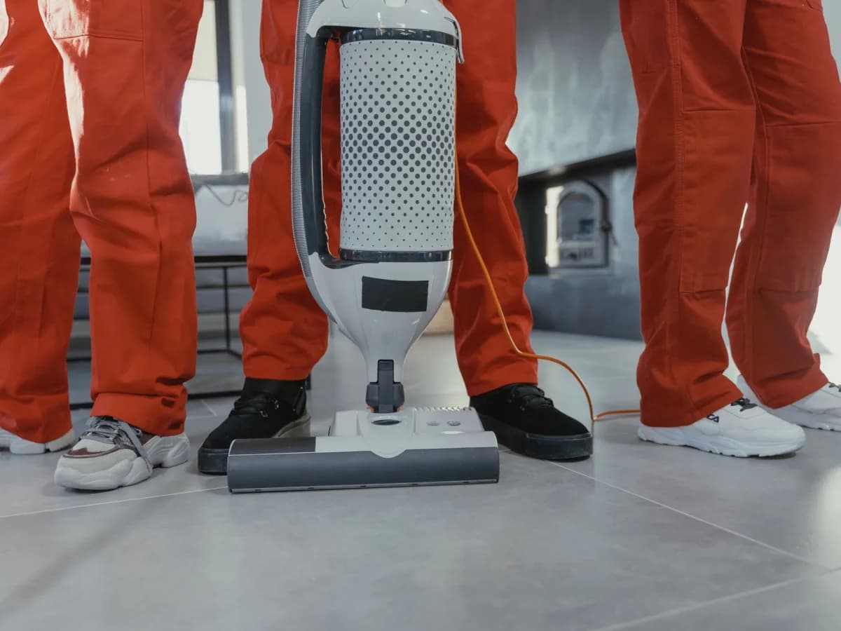 Cleaning team in renovated living room