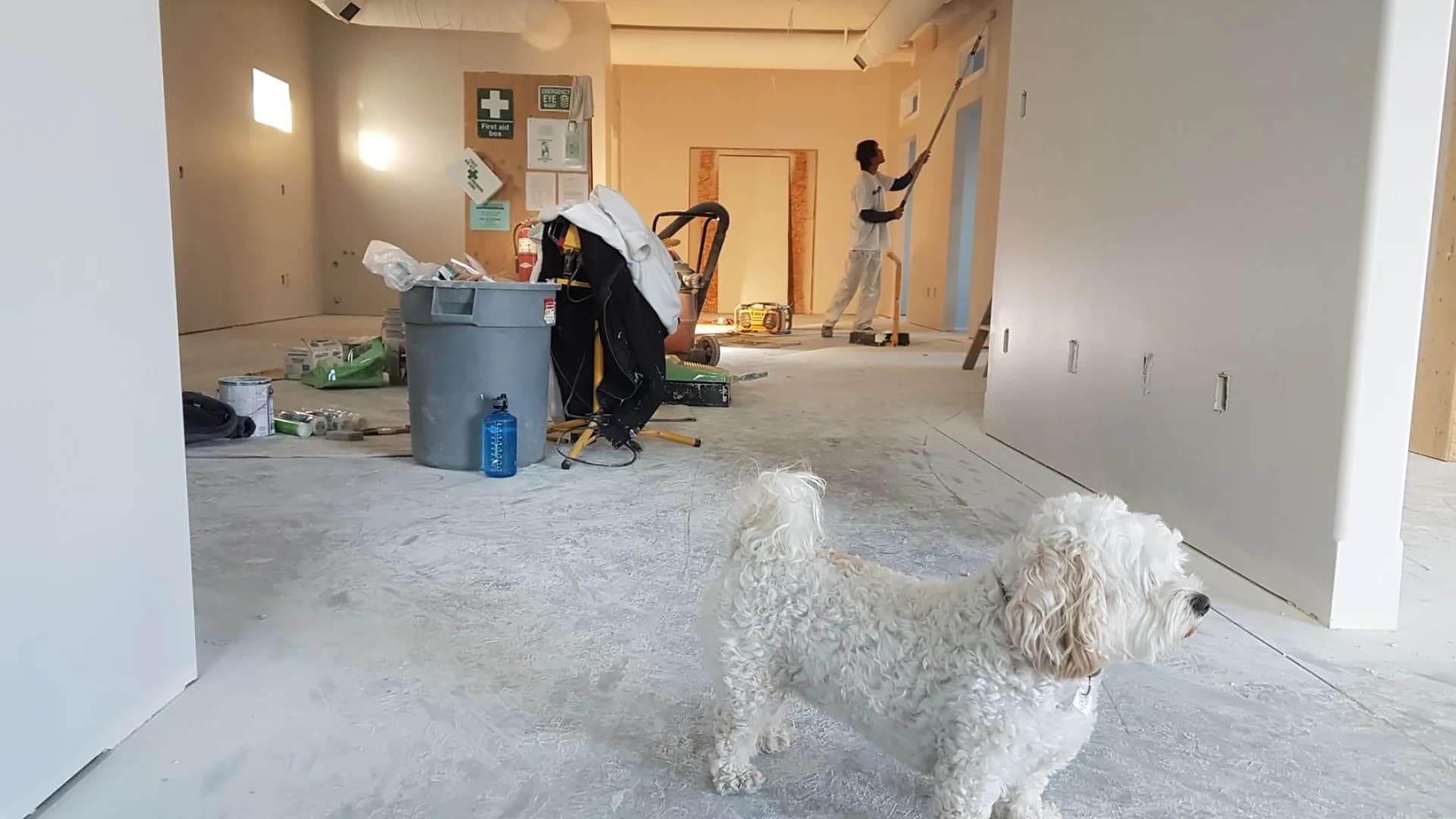 Painter working in a residential living room