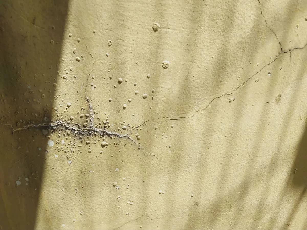 Cracked and peeling caulk in shower