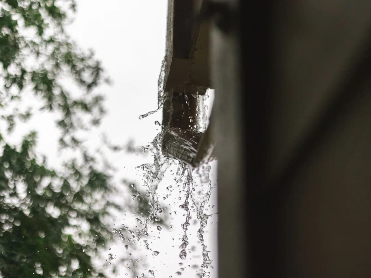 Clogged gutter filled with debris