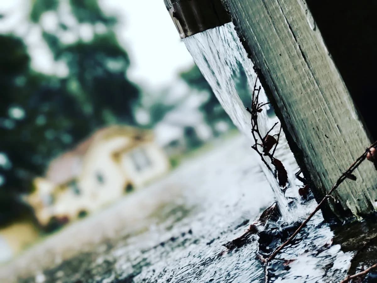 Clogged gutter demonstrating the need for cleaning.