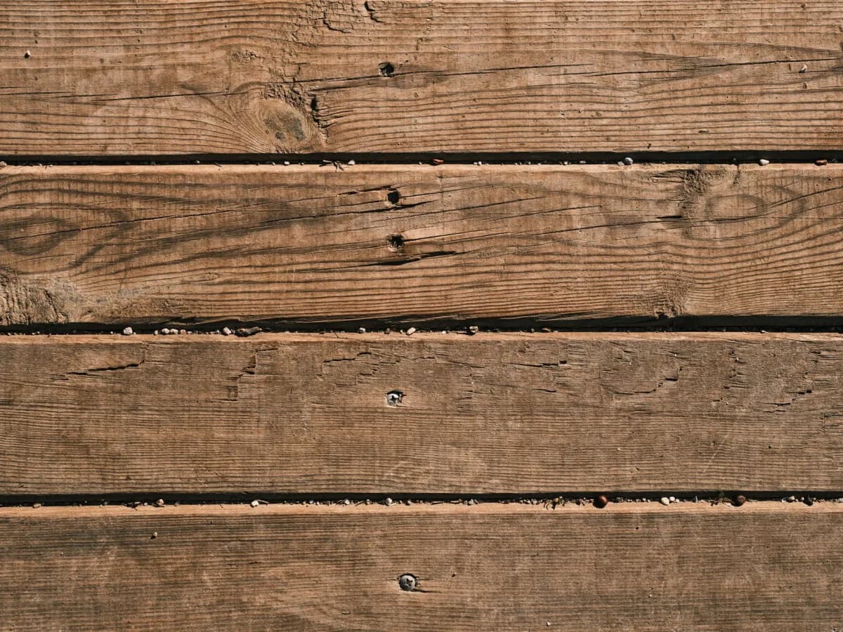 Close-up of damaged wooden deck with mold