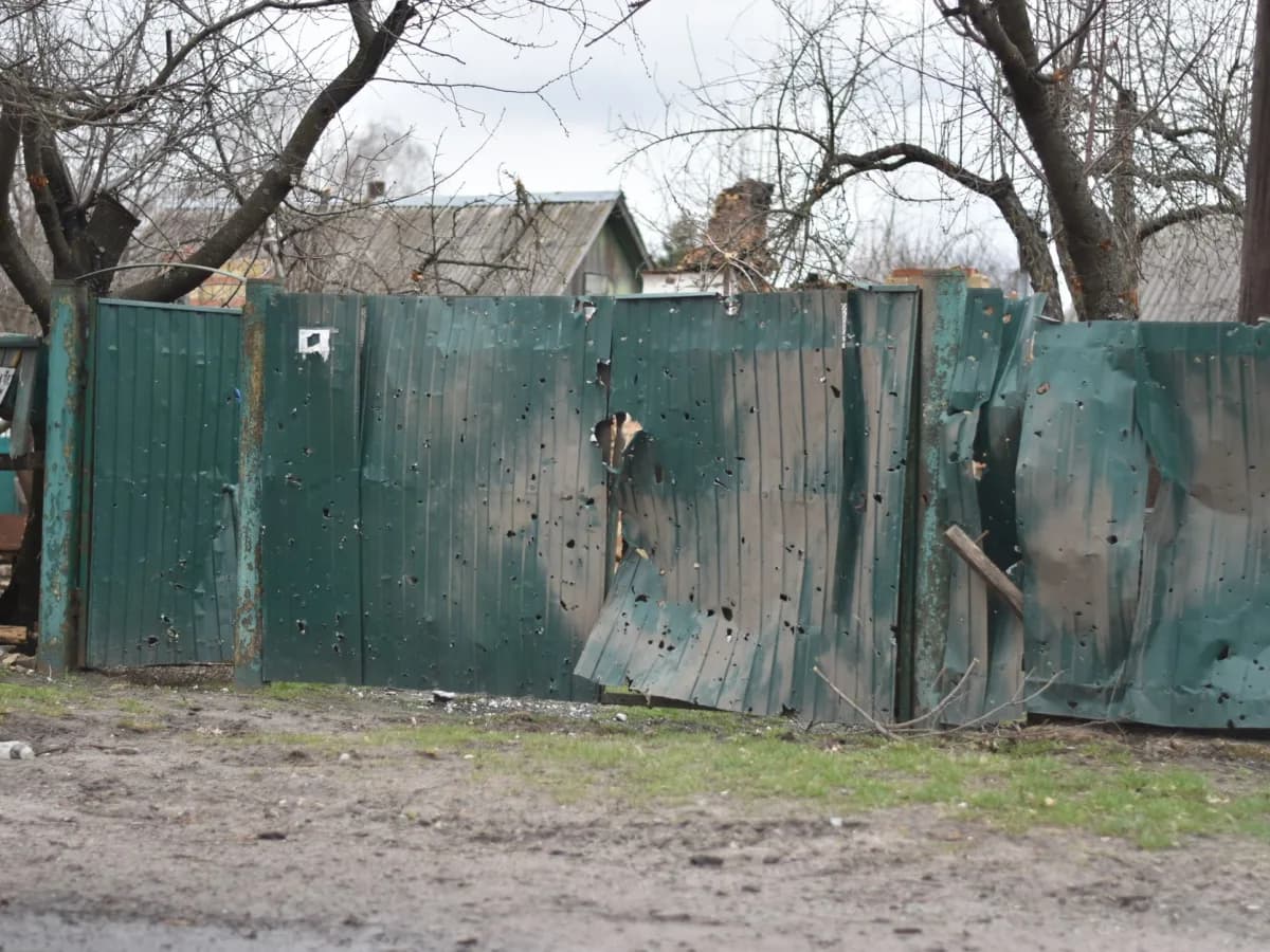 Close-up of damaged wooden fence showing rot
