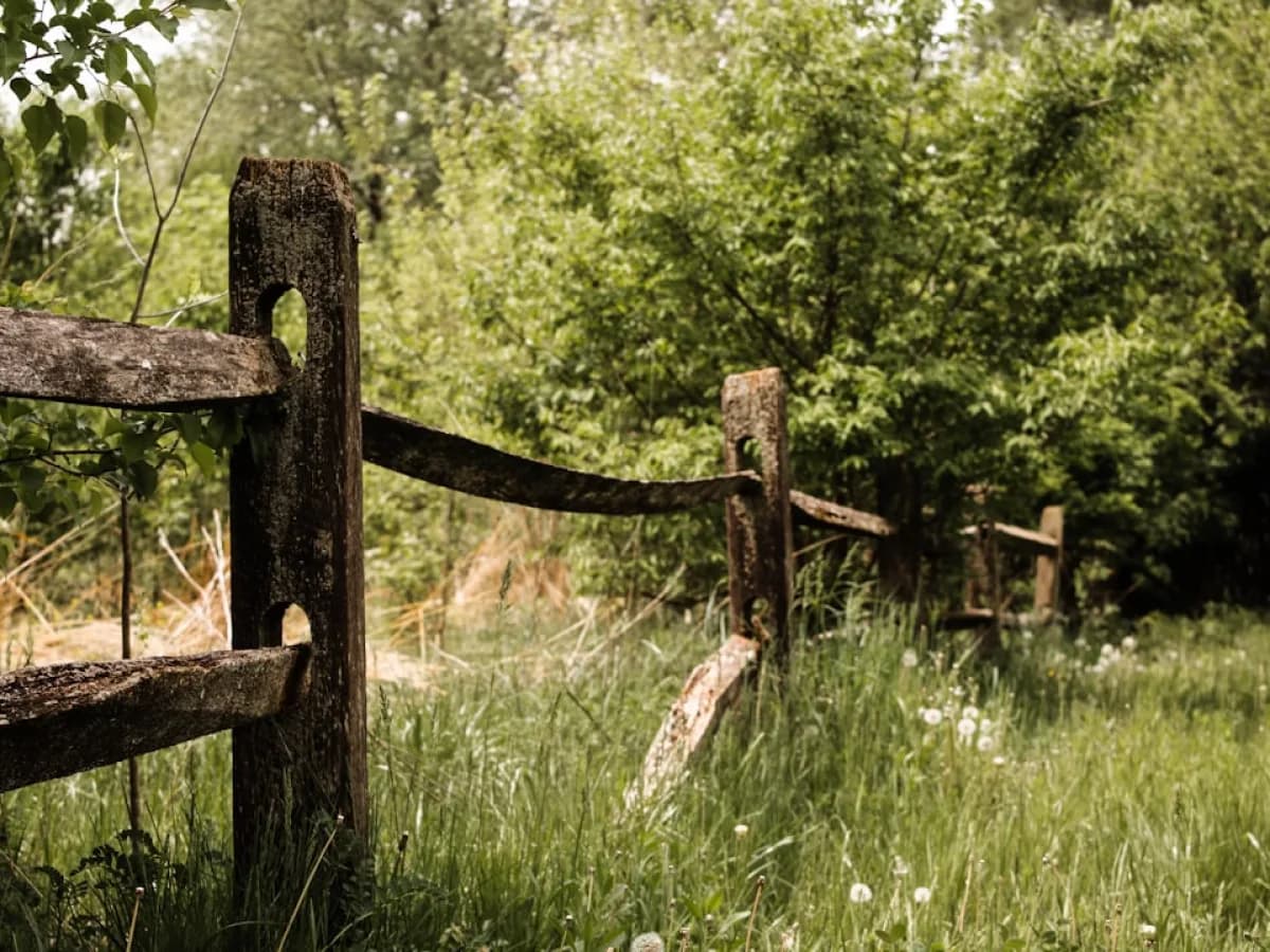 Close-up of a damaged wooden fence section