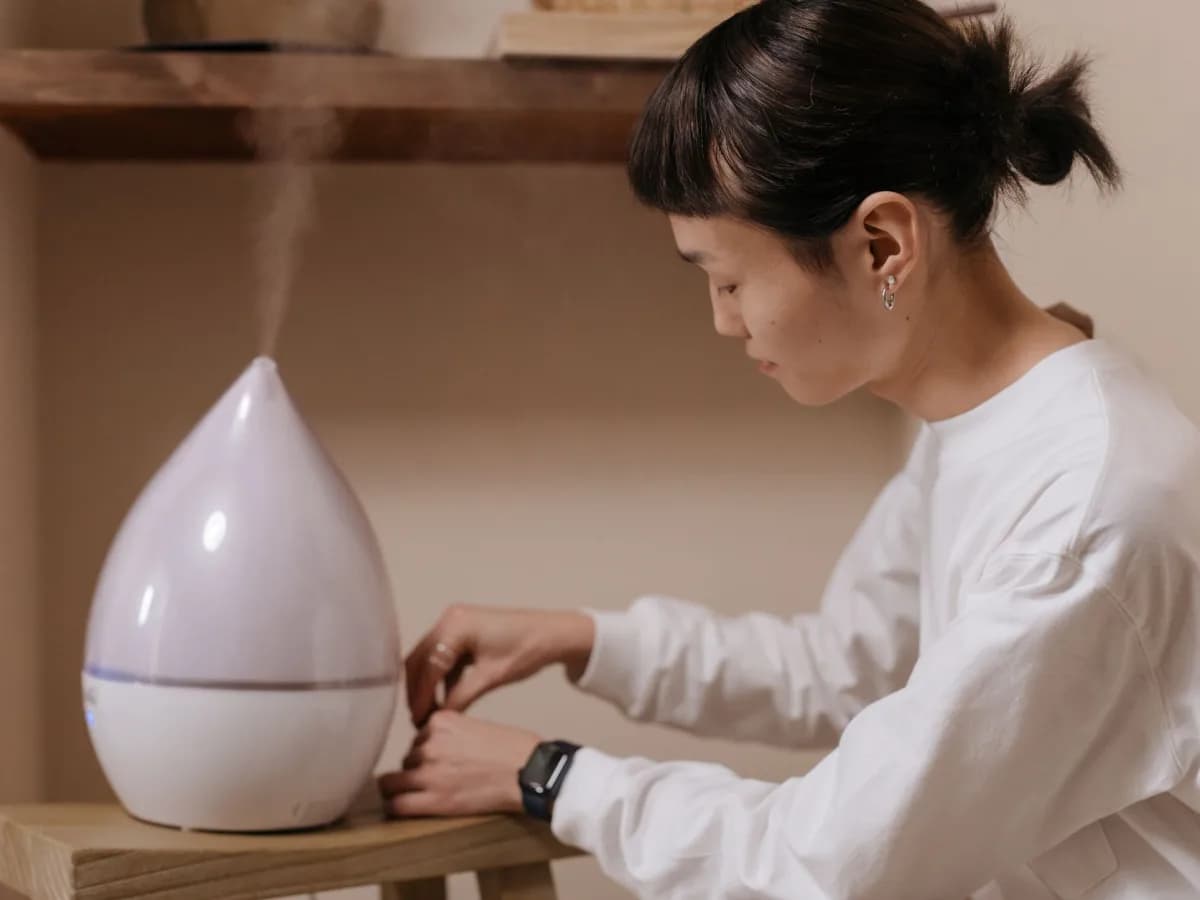 Humidifiers on display with price tags