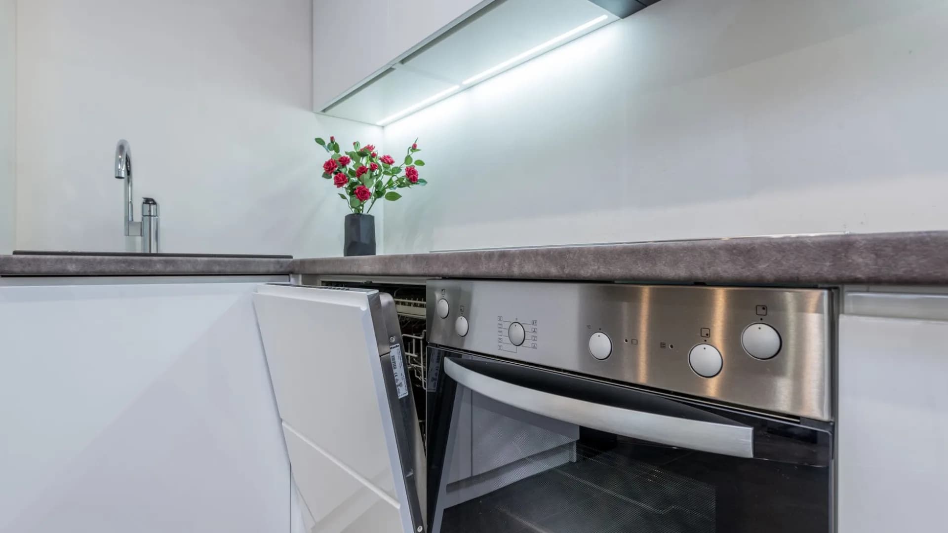 Professional installing dishwasher in a kitchen
