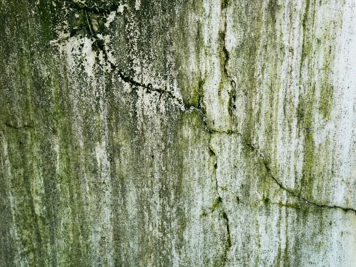 Moldy caulk around bathtub