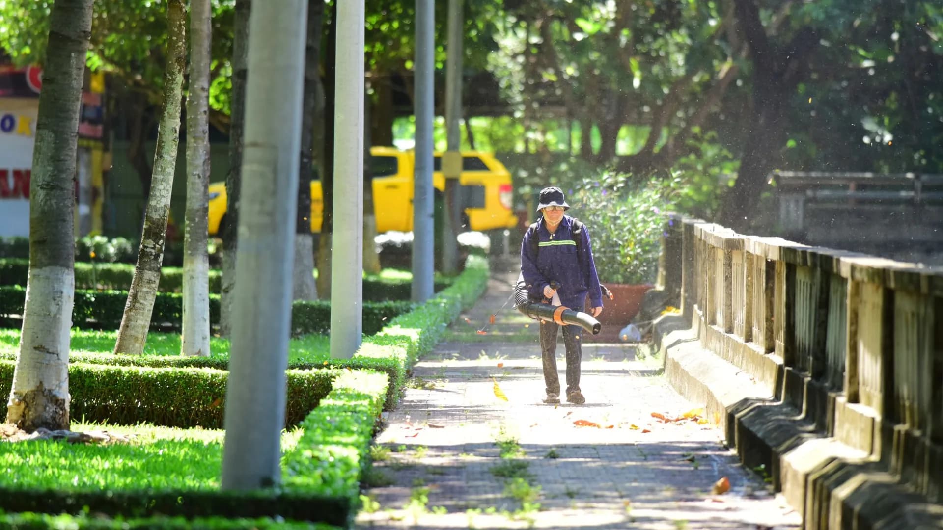 Leaf removal team at work in a Toronto yard