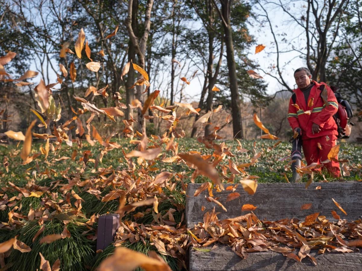 Leaf blower in action removing leaves from a Toronto garden