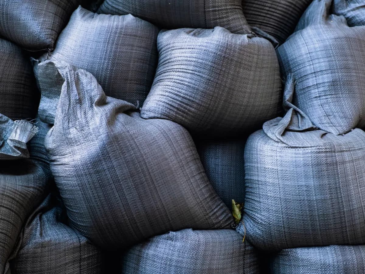 Bagged leaves ready for curbside collection in Toronto