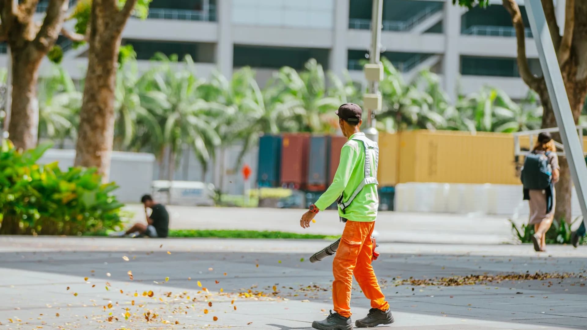 Professional removing leaves in Toronto yard
