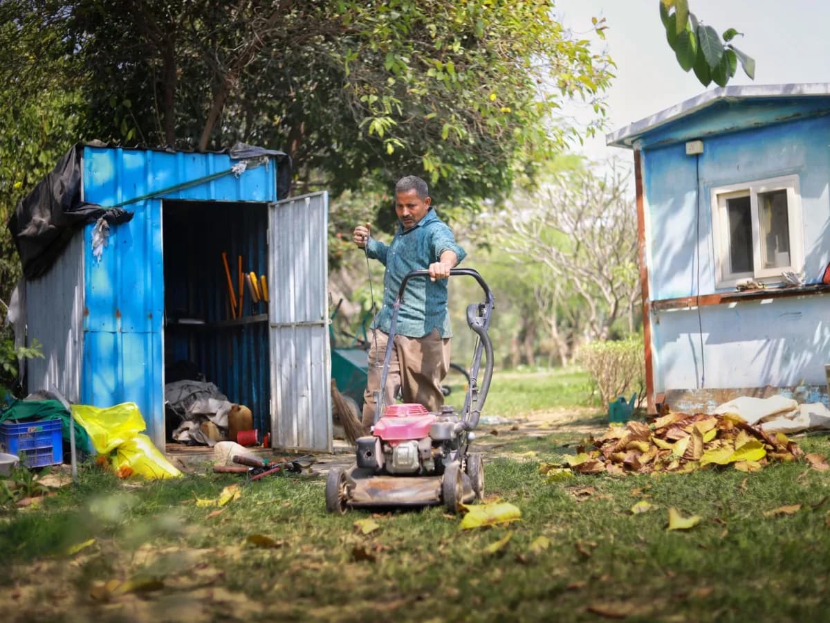 Prepared yard for leaf removal service