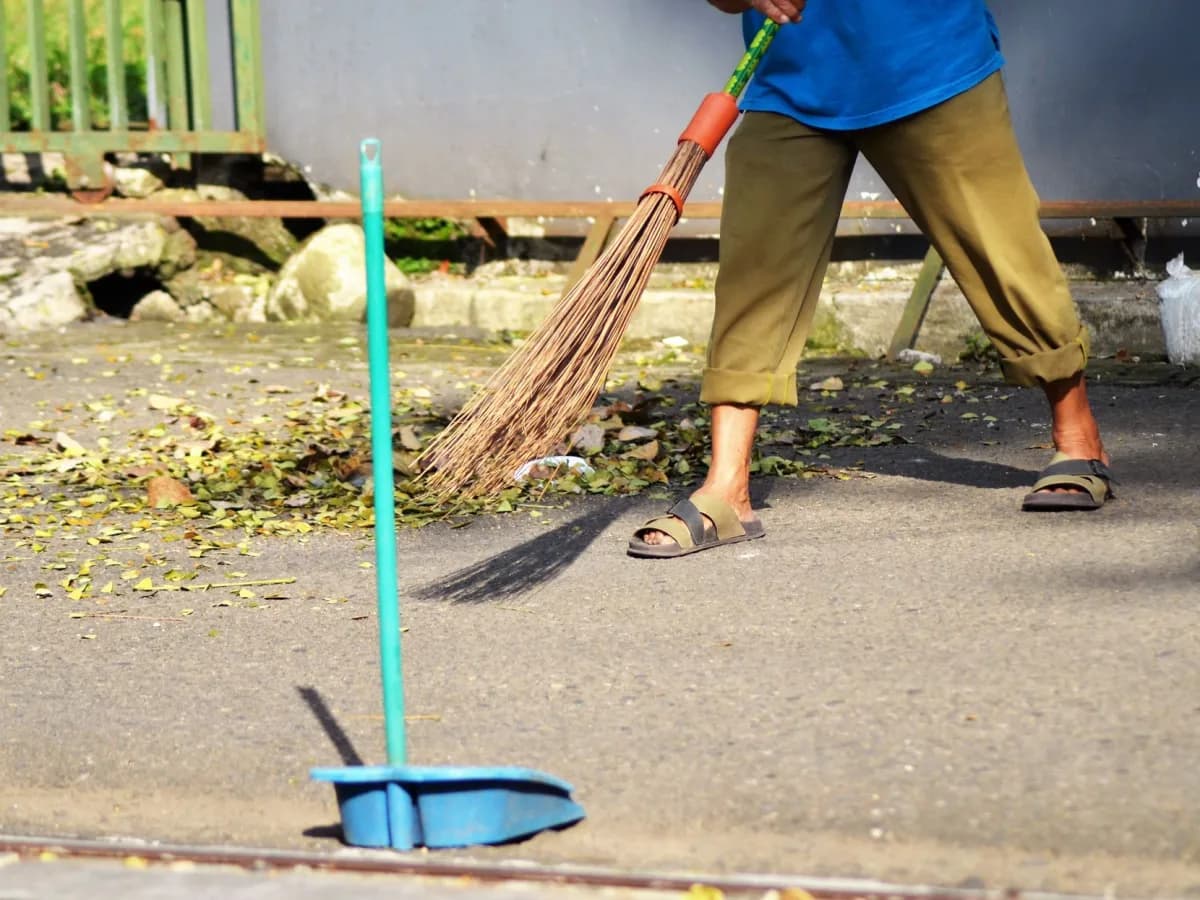 Tools for leaf removal process