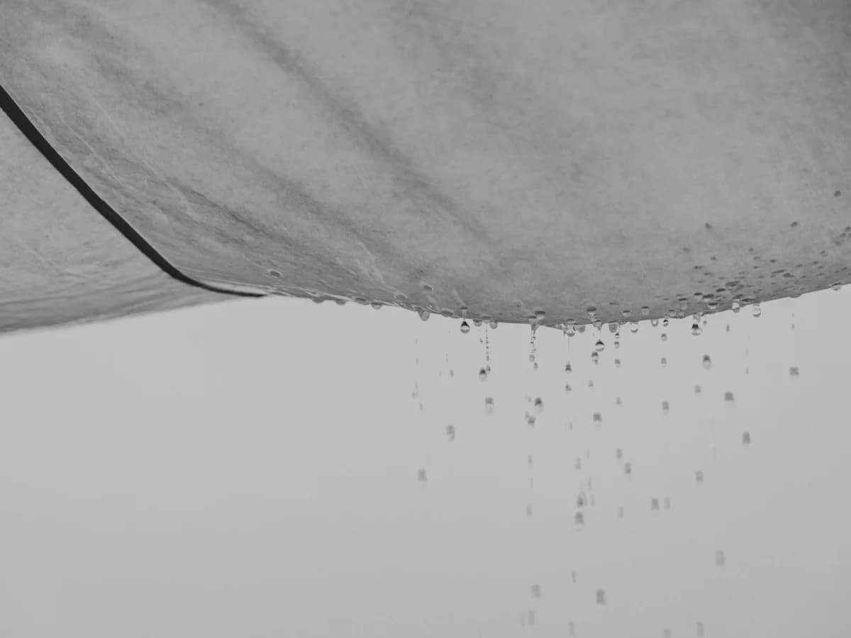 Water stain and peeling paint on a ceiling below a bathroom.