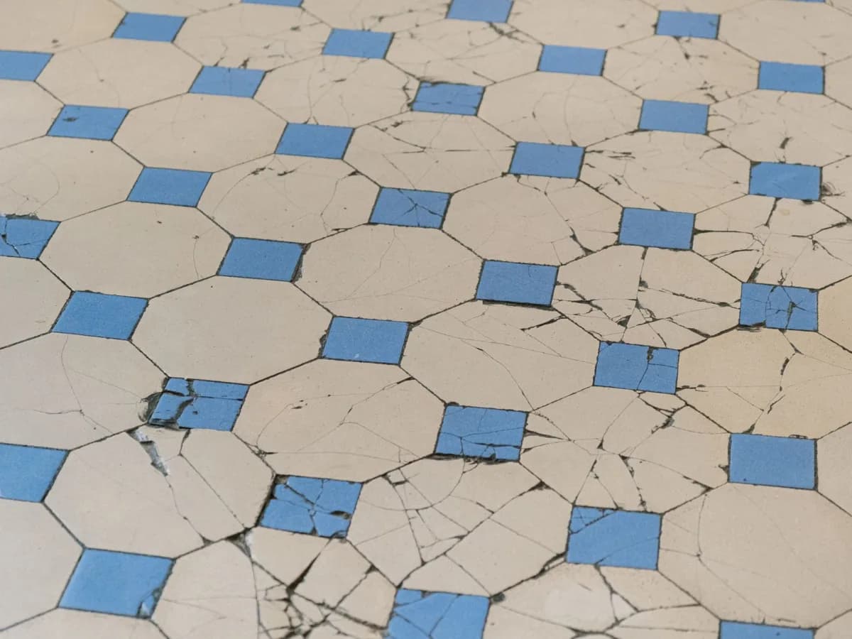 Water-damaged bathroom subfloor near a toilet