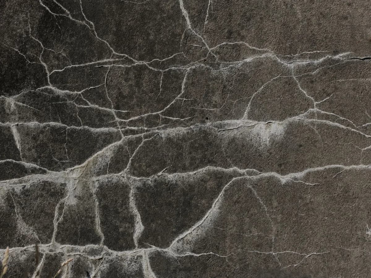 Cracked and peeling kitchen wall